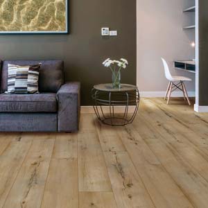 COREtec Pro Plus Enhanced Portchester Oak VV492-02003